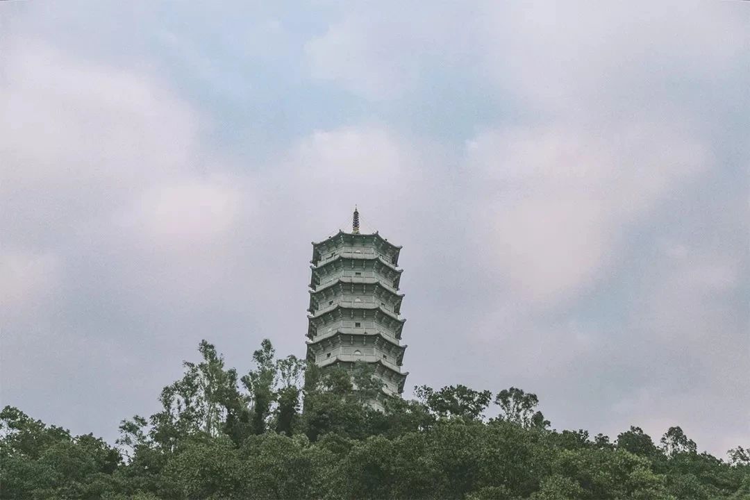 深圳1号线晚上好去处,地铁深圳一号线哪里好玩