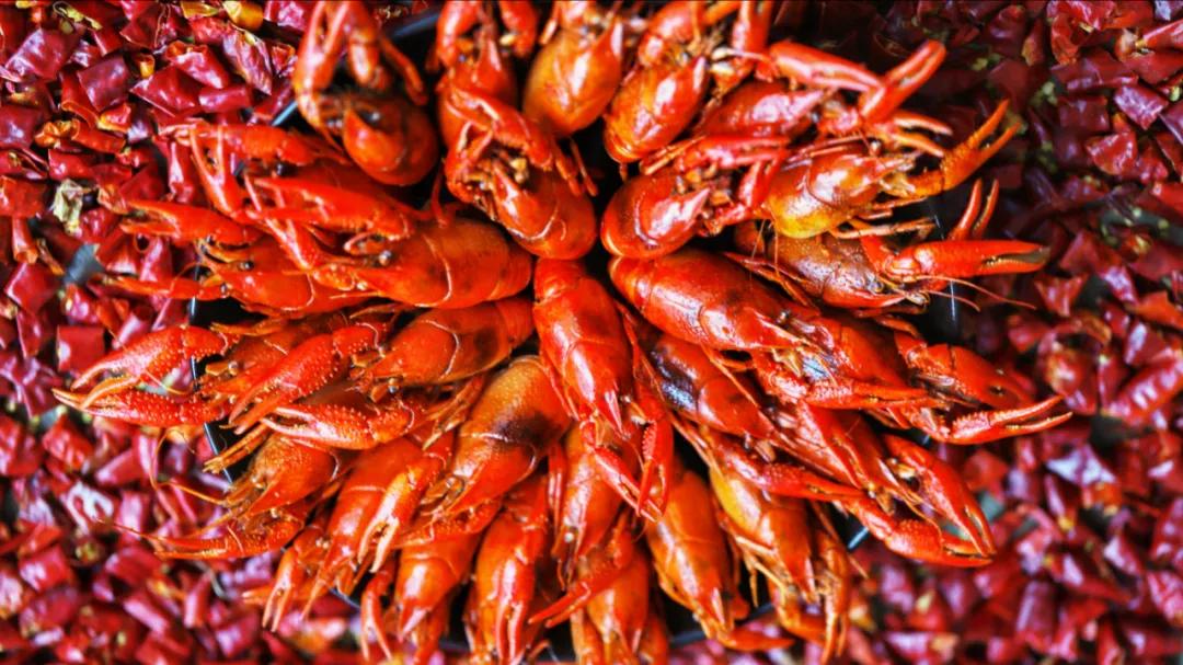 五星级酒店成都,成都五星级酒店价格一览表