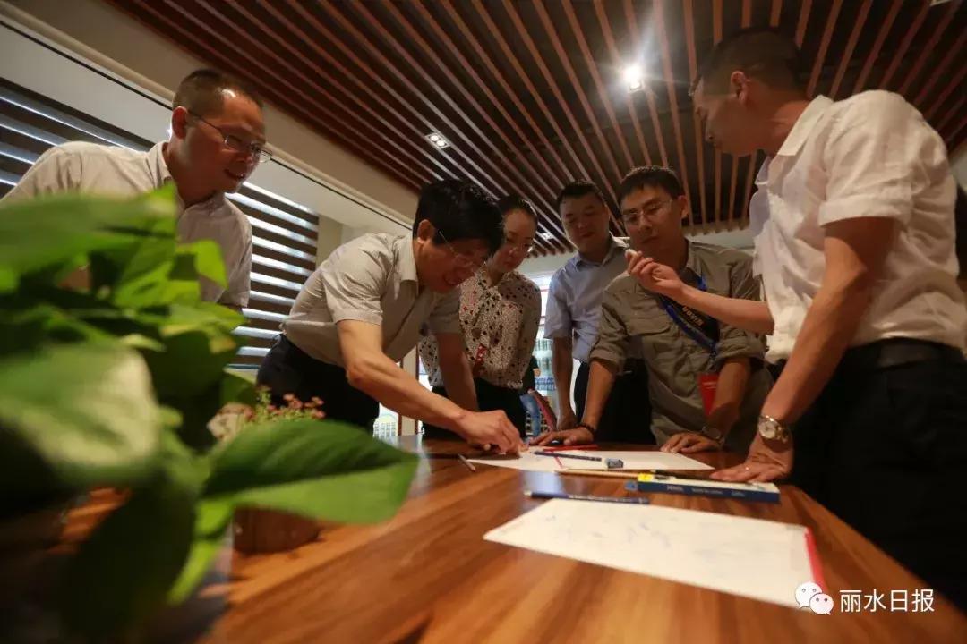 红色新丽水,红色浙西南央视