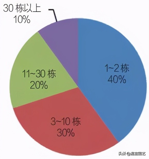 草莓电商是怎么赚钱的,电商发展对城市的影响