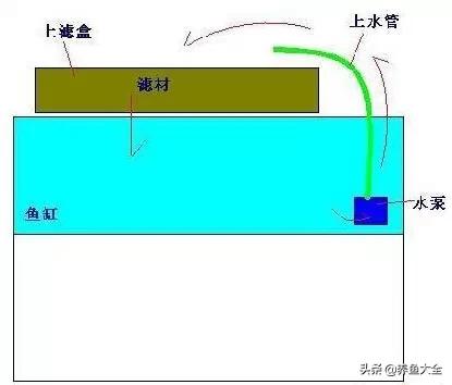 鱼缸各种过滤方式效果排名,细谈各种鱼缸过滤方法
