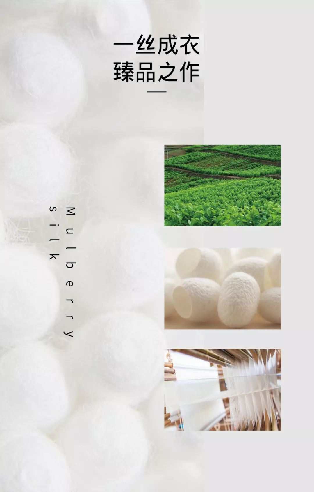 真丝面料穿起来的效果就是不一样,真丝面料哪种好一点