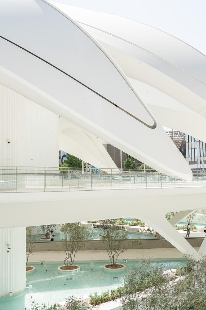 迪拜世博会中国馆正式试运营,迪拜世博会各国展馆建筑抢先看