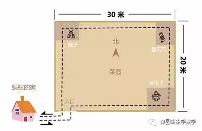 菜园虫虫学数学：伪装者（时间与行程）