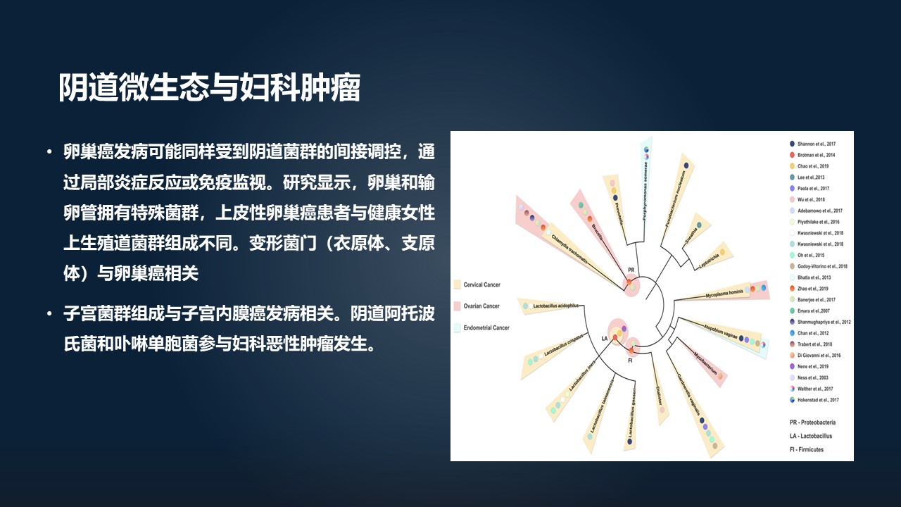 肖冰冰的小视频,肖冰冰讲的12生肖