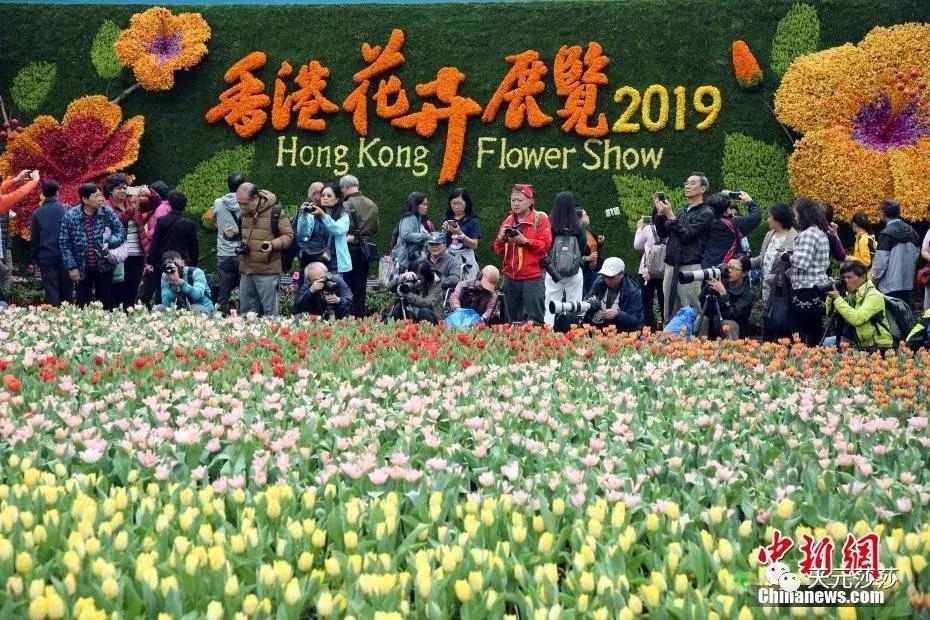 共赴盛会活动,香港国际花卉展