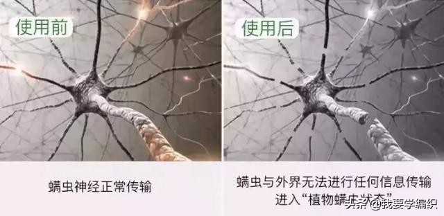 后背长痘的原因和改善方法,后背长痘太可怕了该怎样调理