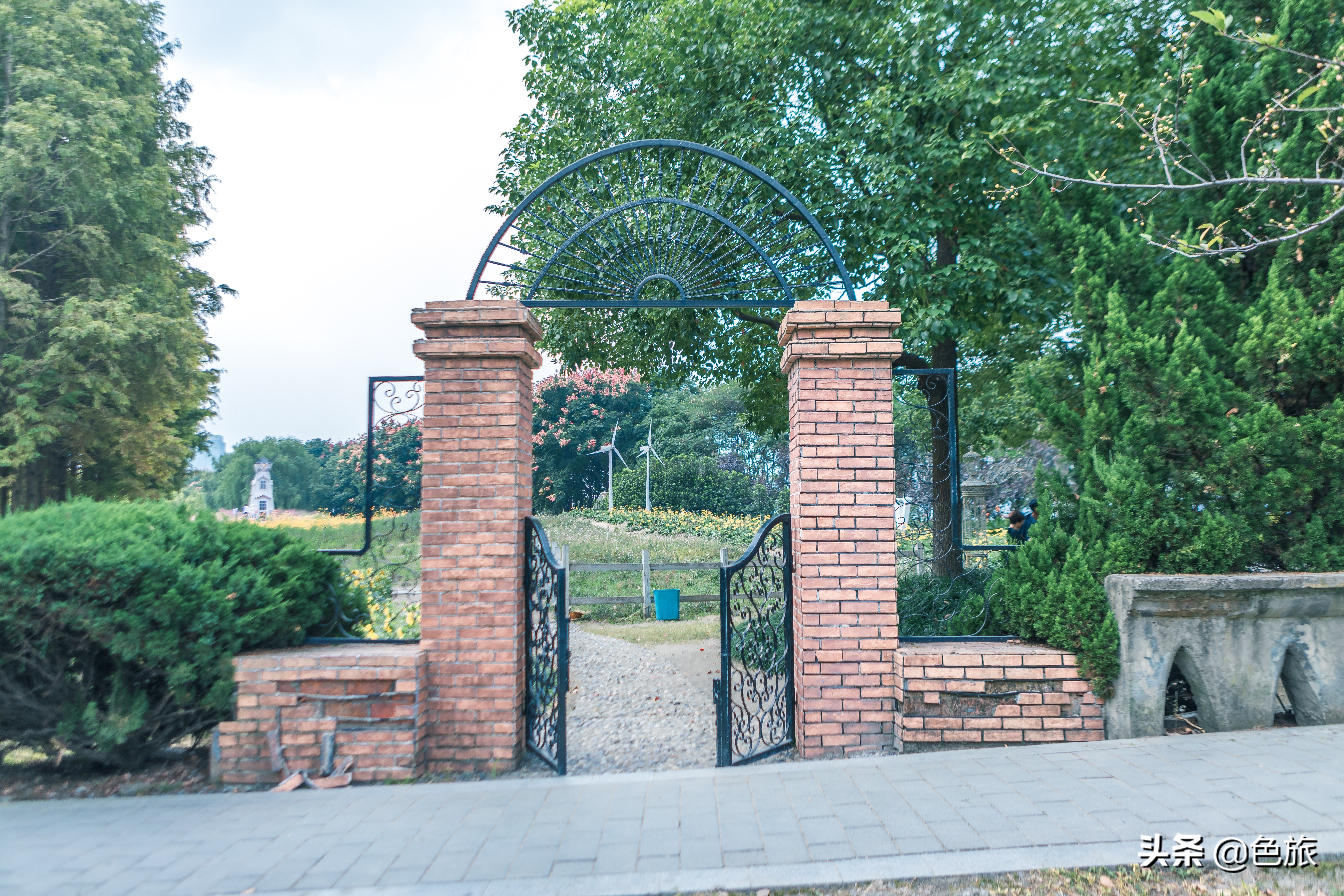 杭州花海网红打卡,杭州粉黛花海打卡地