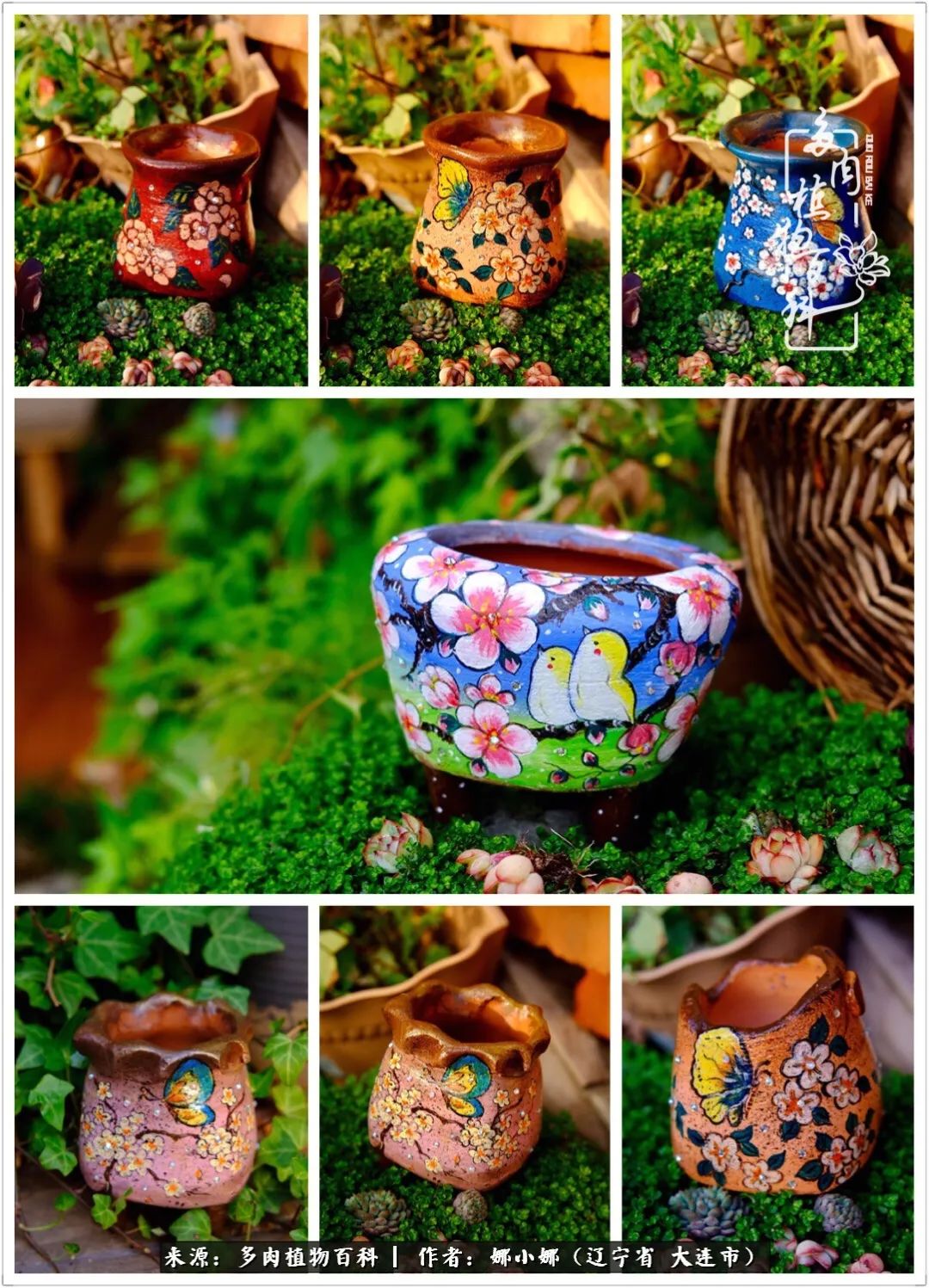 你是盆我是花，你护我周全，我为你绽放