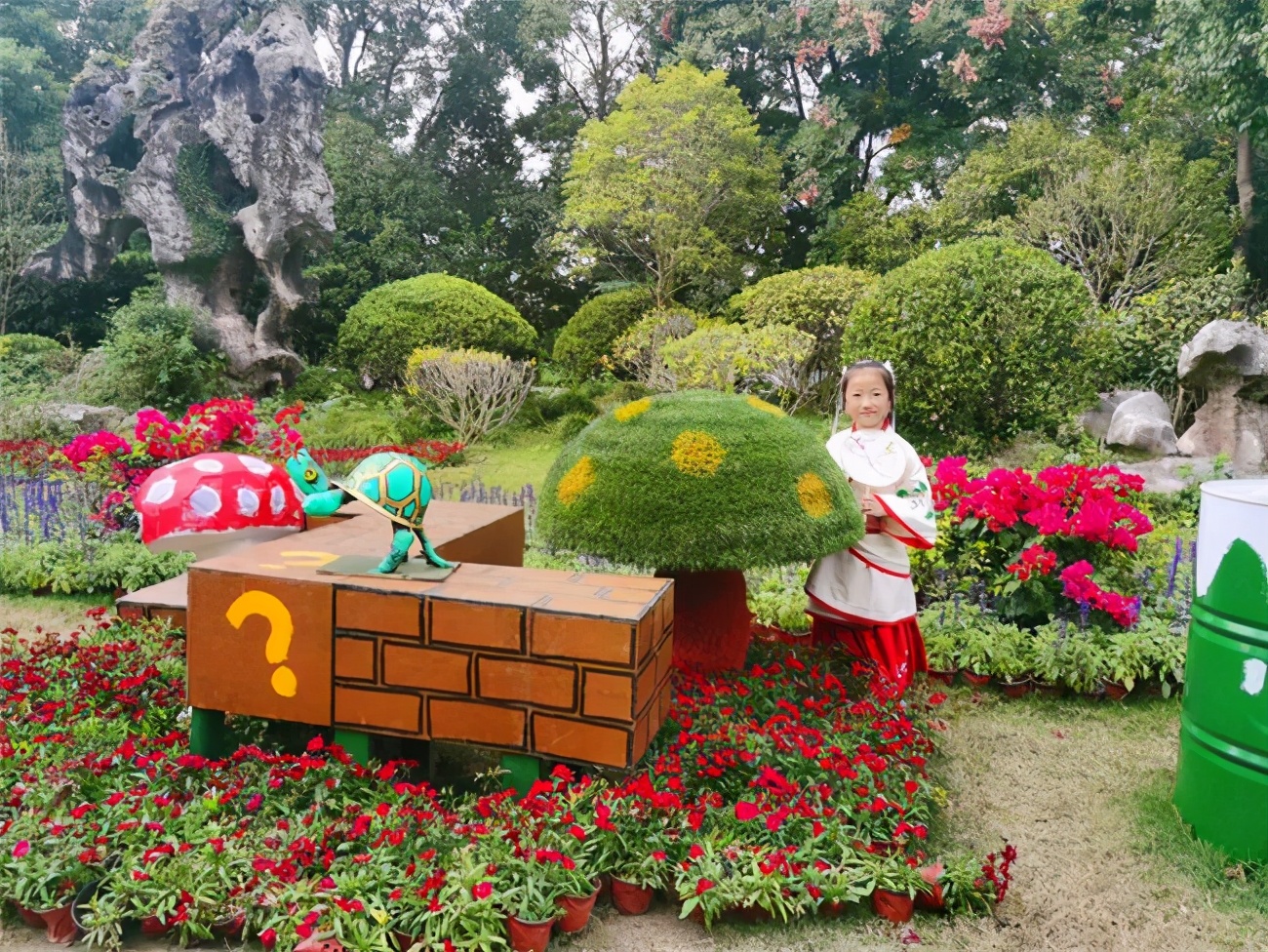 放飞的周末时光,放飞自我的周末时光