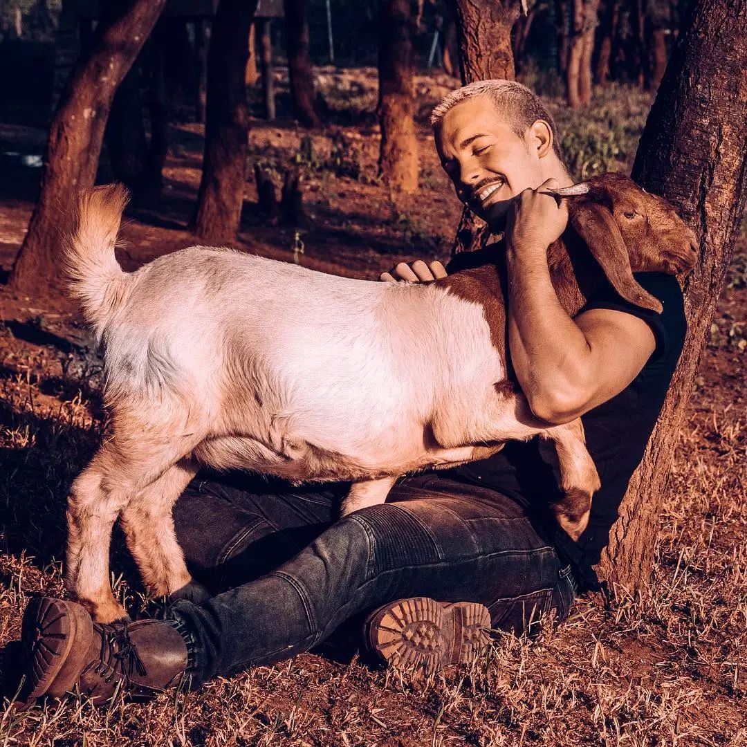 放弃百万年薪，去非洲撸猫？长腿版小李子引63w人舔屏：看我看我