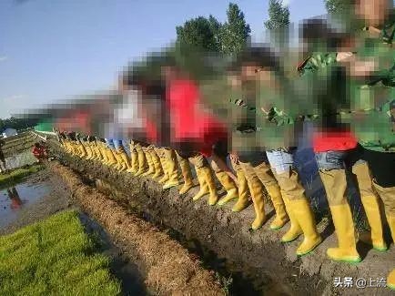 上大学学种地,上农业大学真的要种地吗