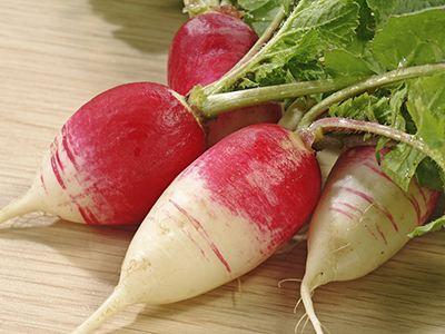 一岁一寒一春秋，一草一木一参花。