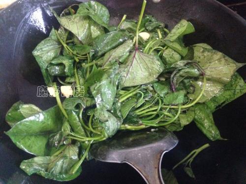 暑假之乐,暑假之趣600字