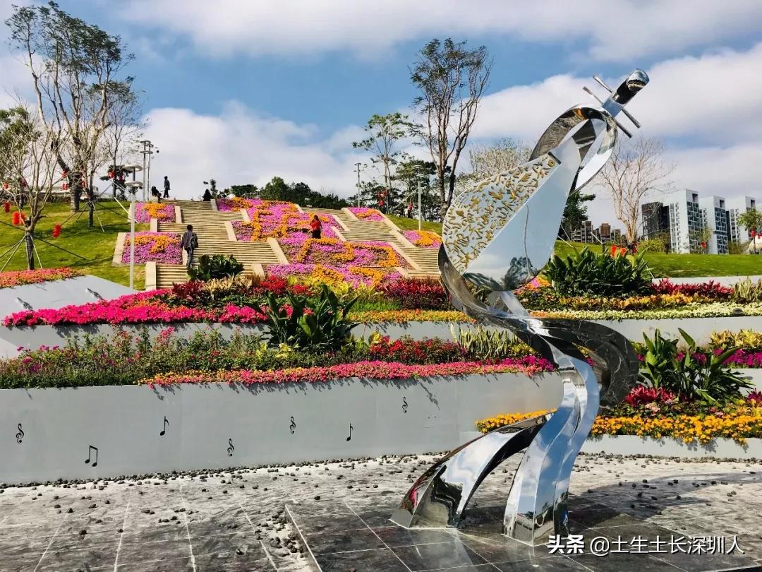 深圳民治名字的由来,深圳龙华所有地名