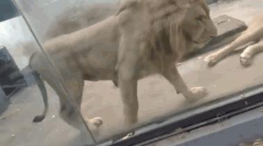 国足爆笑名场面顺口溜,国足爆笑集锦网红解说