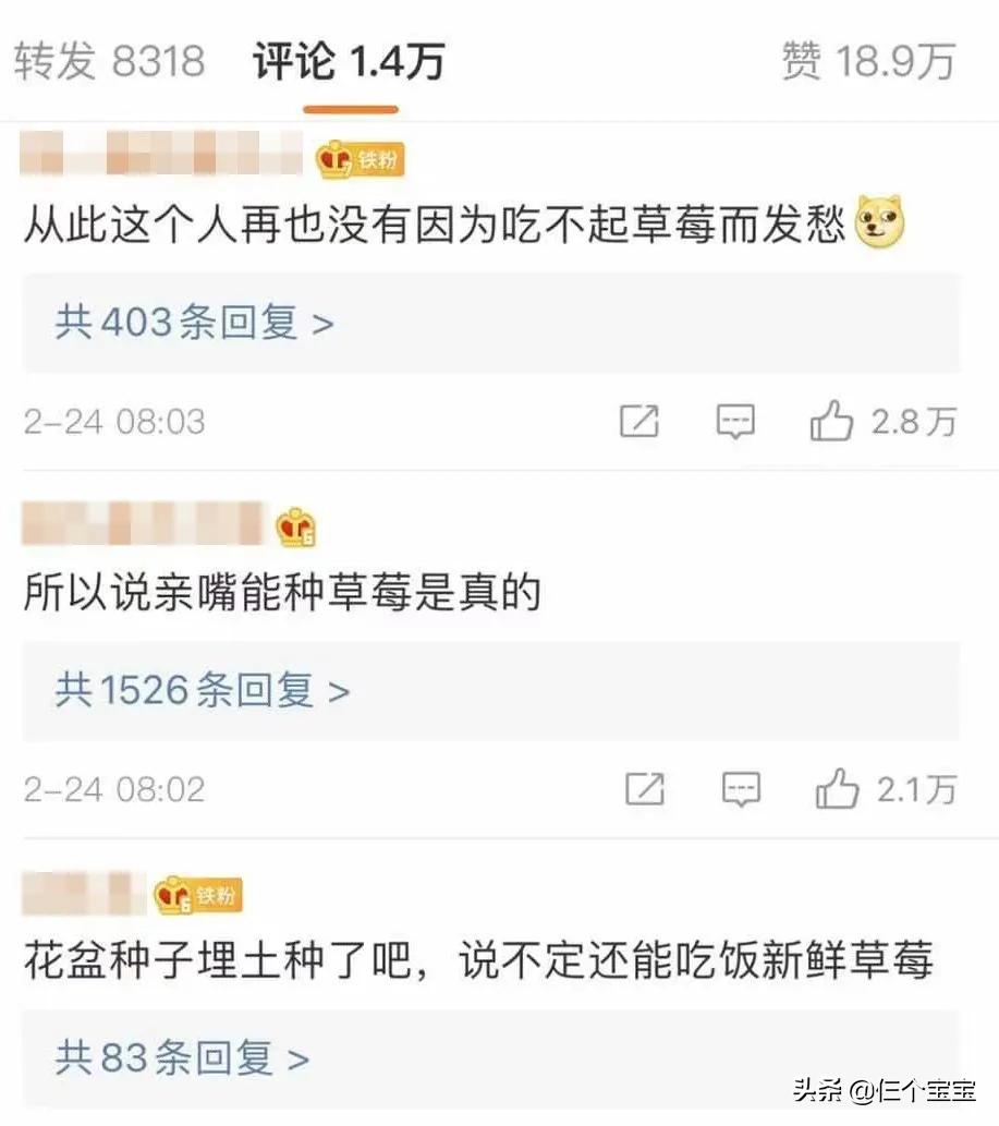 草莓籽在嘴里发了芽？刷牙少了这一步，你真的只是刷了个寂寞