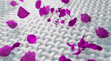 3倍洁净,3倍清洁效果