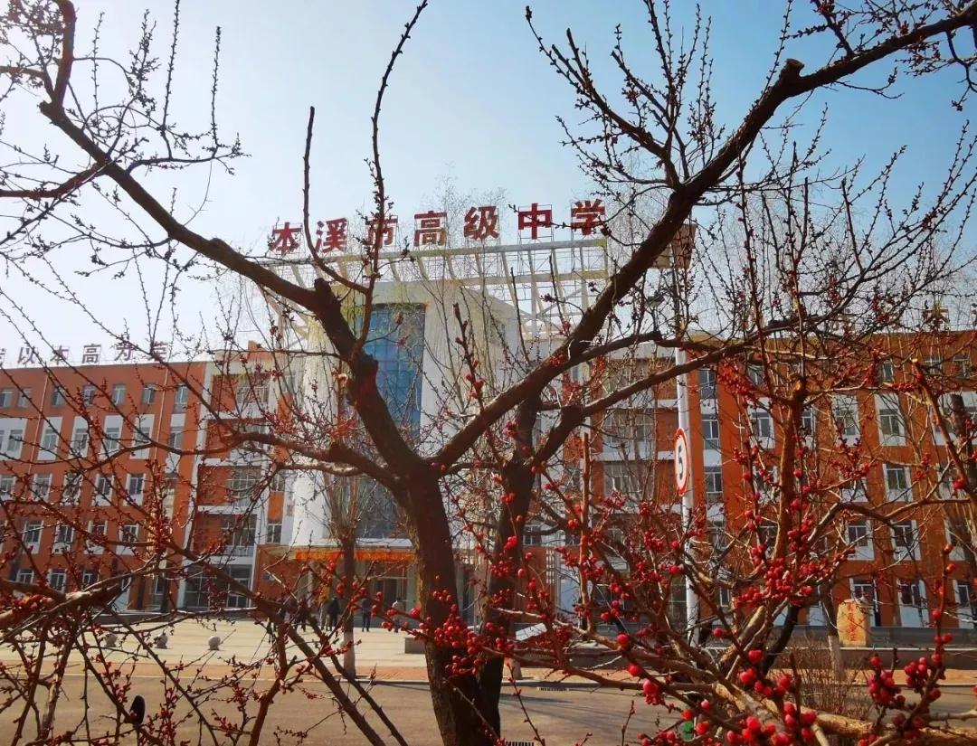 辽宁省本溪市高级中学,本溪市高级中学2021高考成绩