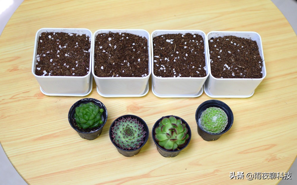 LED种植机体验:黑科技光谱养花,家里的多肉有救了