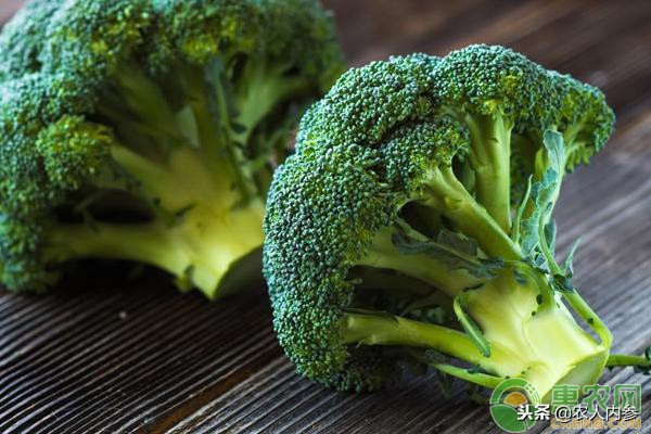 14日菜蛋肉价格