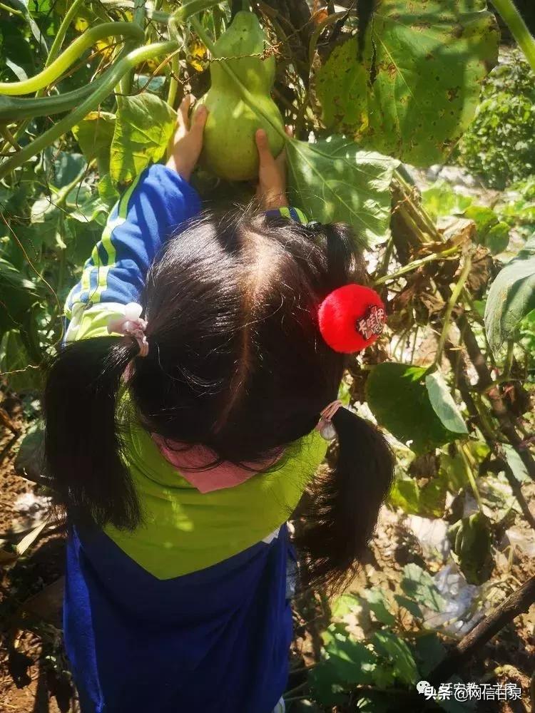 金太阳幼儿园校门,延安市甘泉谢金庄幼儿园