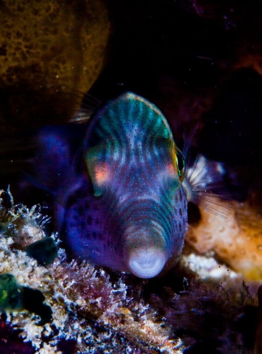 海底你不知道的东西,海底世界东海龙宫