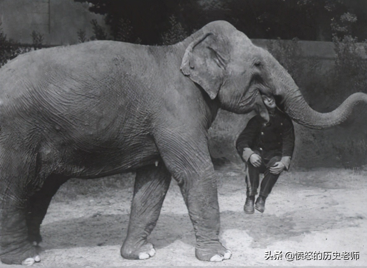 一组老照片普京,普京罕见老照片