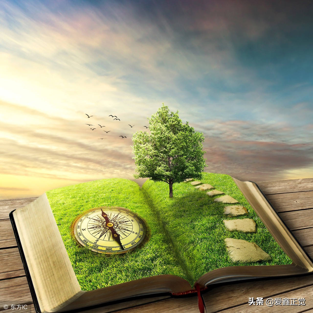 怎么规划自己的人生目标,怎么规划自己的人生