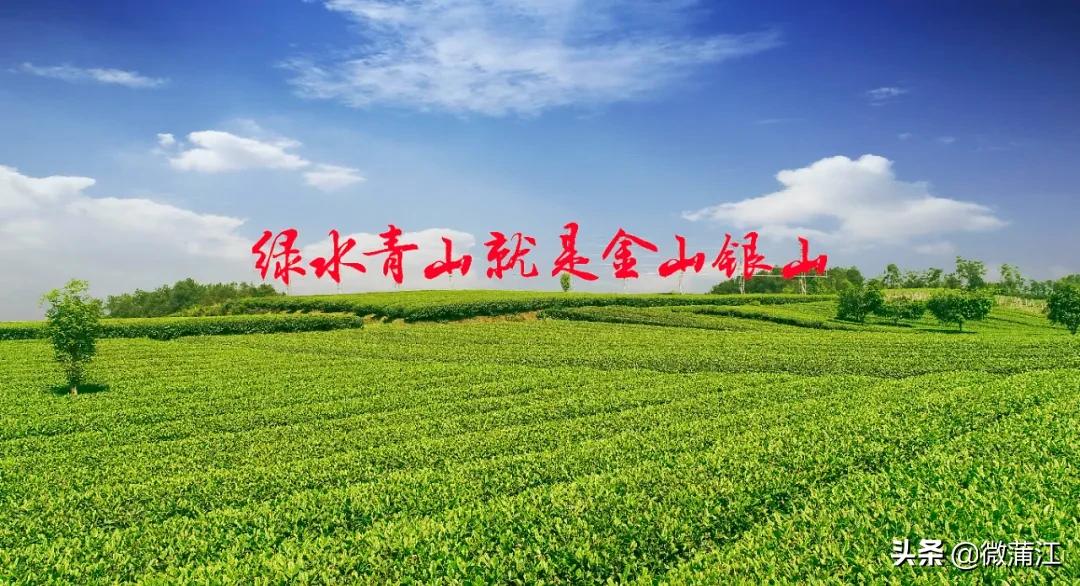 蒲江打造公园,蒲江田园生态区