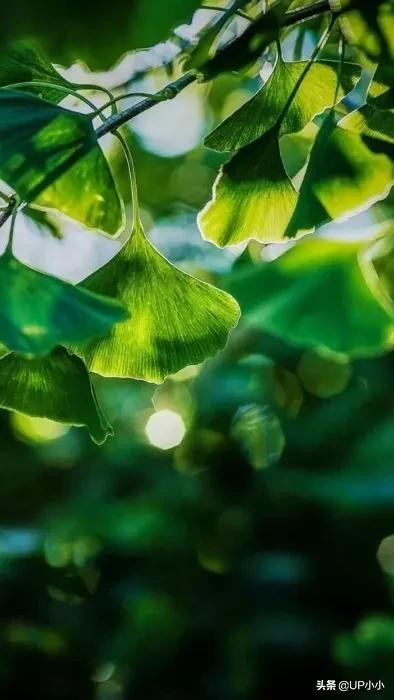 生活状态怎么发朋友圈,记录生活的人都是怎么发朋友圈