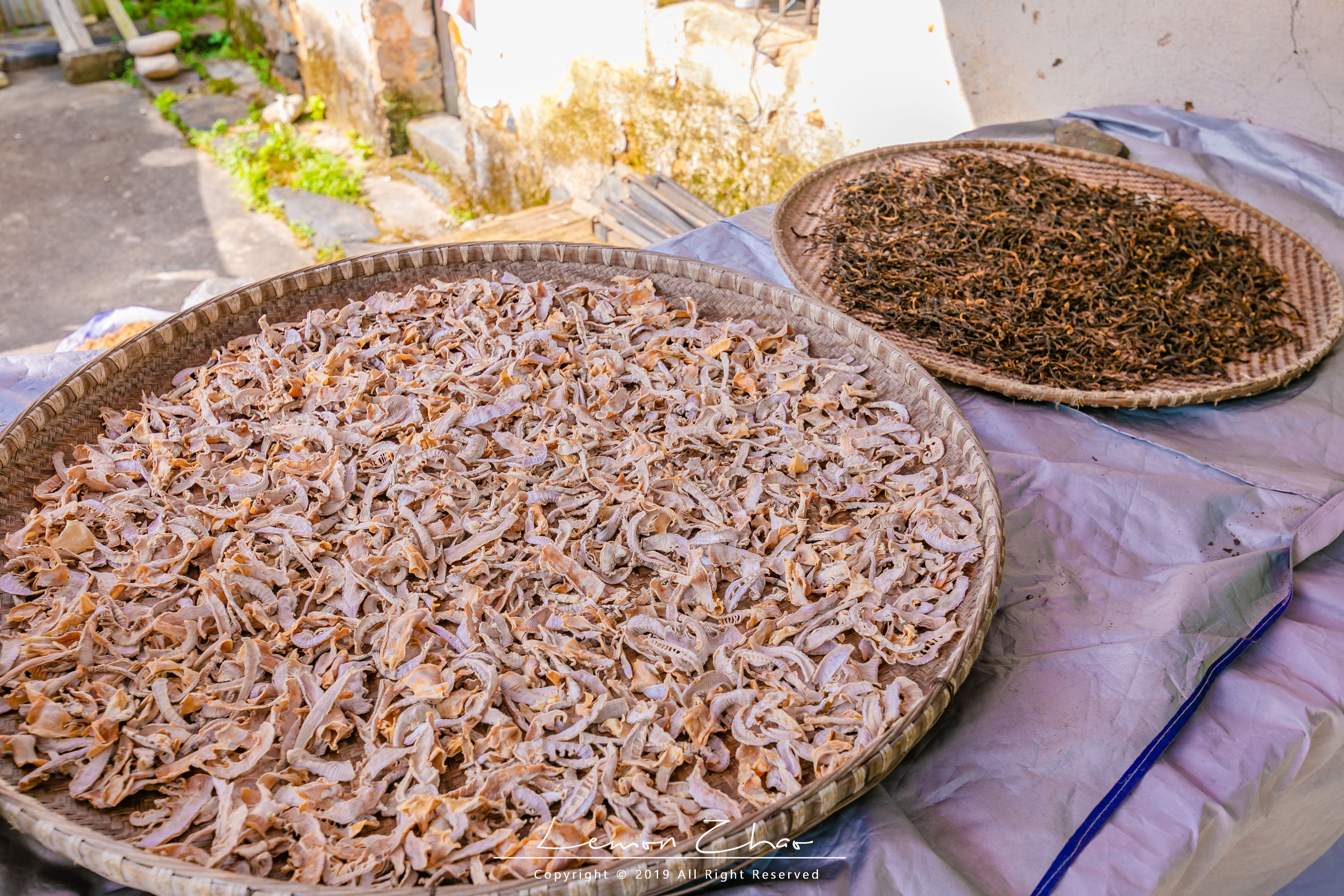 藏于山水之间的避暑胜地,安徽九寨沟风光