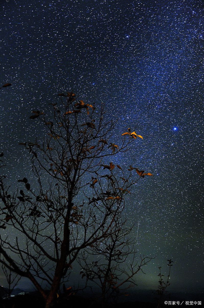 朱广权听取蛙声一片,朱广权说夏至