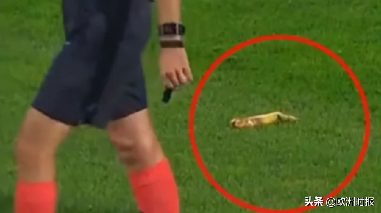 法国球员被歧视,法国球员点球丢球被遭歧视