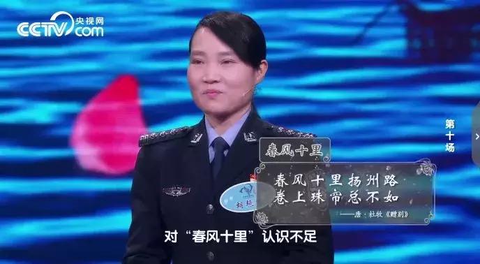 中国诗词大会第四季董卿点评,中国诗词大会董卿第三季第四场