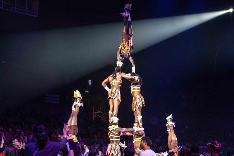 广州长隆野生动物世界旅游攻略,长隆野生动物世界攻略2-3天广州游