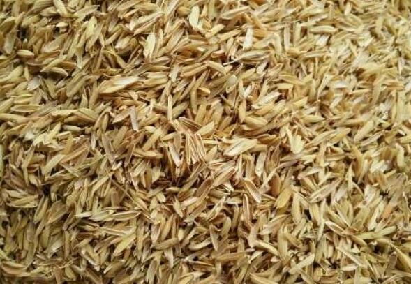 稻壳能做木炭机制炭吗,稻壳炭可以做木碳么