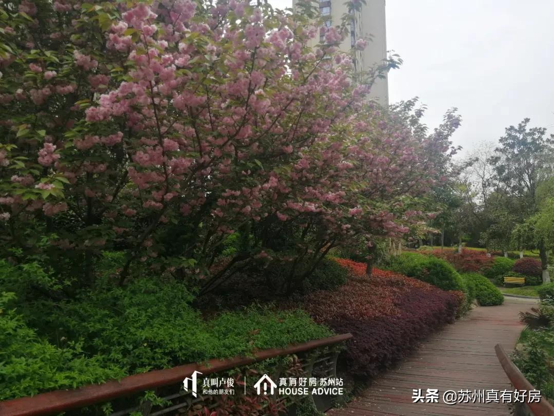 2021苏州园区房价最高的小区排名,2021苏州房价最高的小区排名