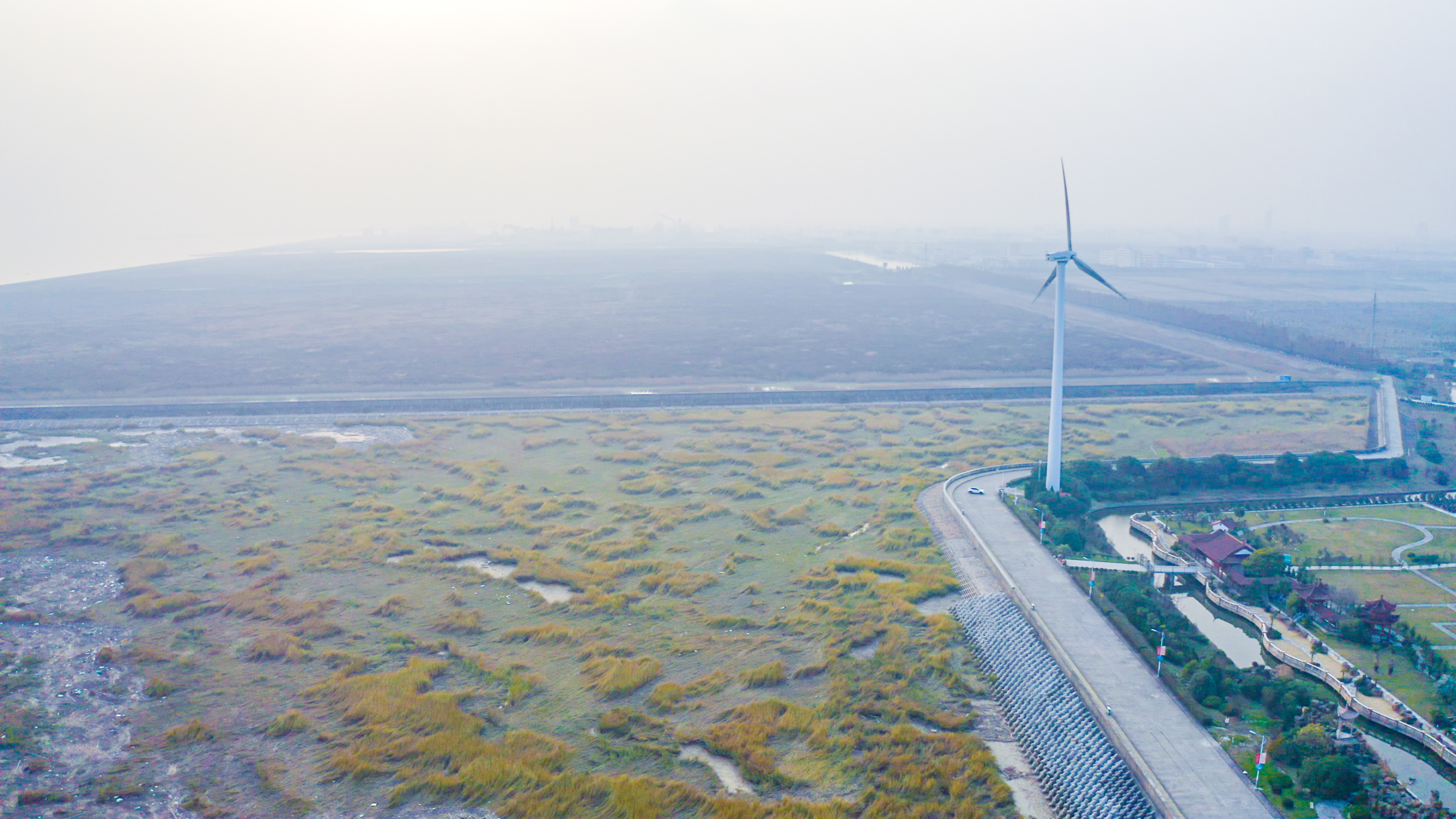 上海周边赶海一日游攻略,上海周边好玩的海边赶海在哪里