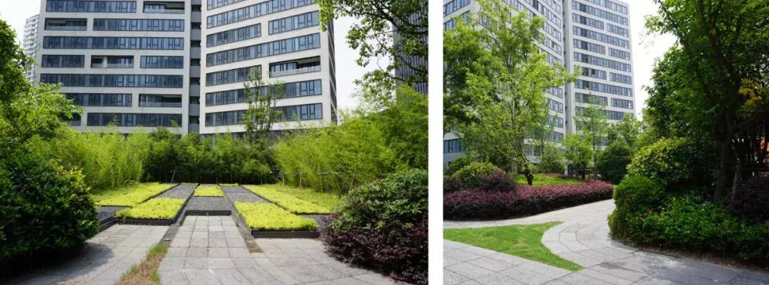 陆家嘴集团前滩住宅,陆家嘴集团前滩项目