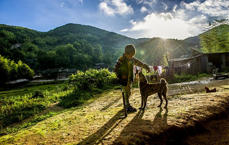 乡情散文田野情怀,最美乡村乡情散文