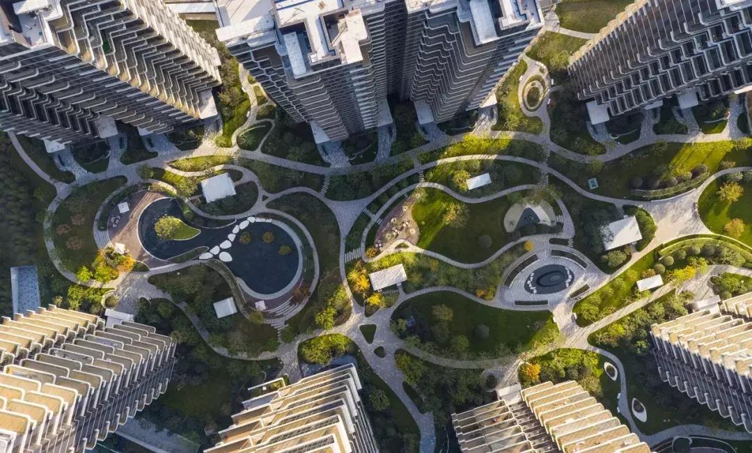 盘点郑州这些C位出道的热盘