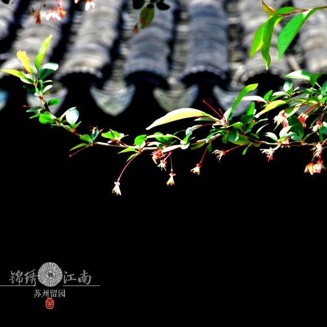 华东五市五日游路线,华东五市指的是哪五市旅游景点