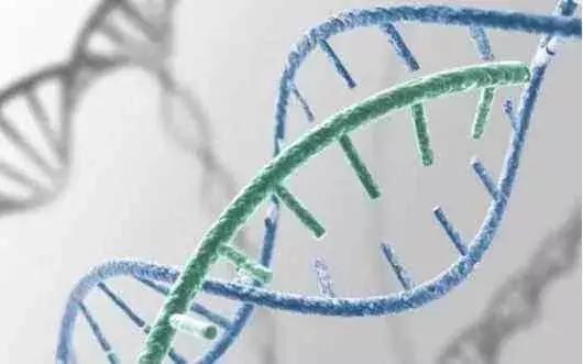 北京治疗支气管哮喘专家,日本治疗哮喘最佳方案