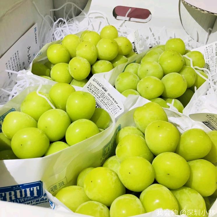 顶级阳光—大地之水一箱4串，2000元！网友：每一颗都是钱的味道