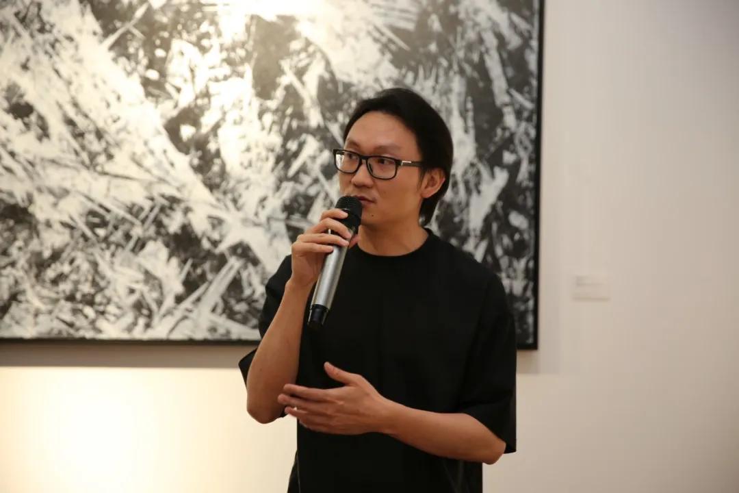 casabrava意大利瓷砖,casabrava硅化木