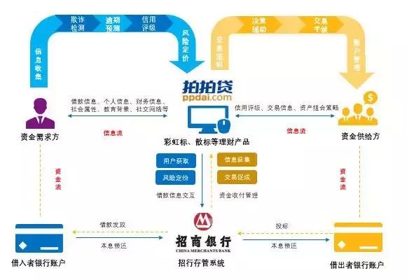 鲸准研究院官网,鲸准研究院资金流向