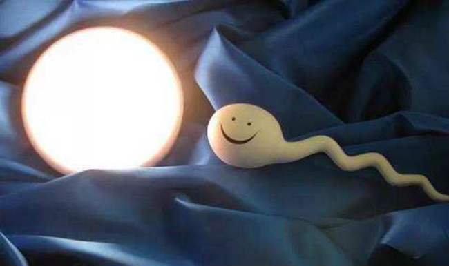 女性备孕期吃什么好,备孕期女性吃什么比较好