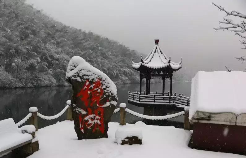 我在抖音的这些神曲里，听出了宜兴竹海的味道