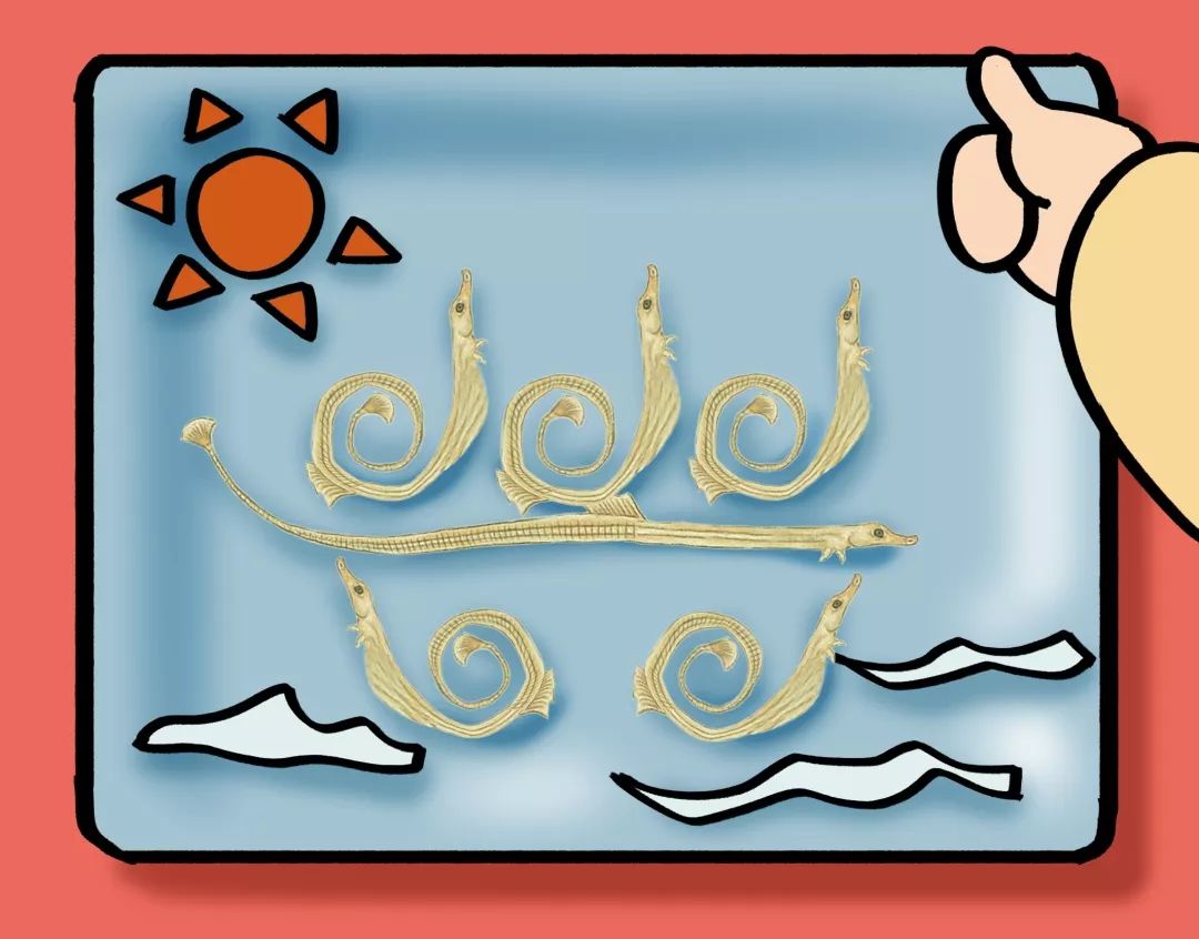 没错，你听过的“七里香”竟然还能吃